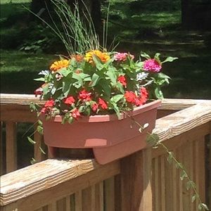 Meet your Posher, Carol